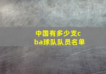 中国有多少支cba球队队员名单