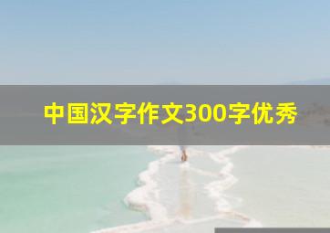 中国汉字作文300字优秀