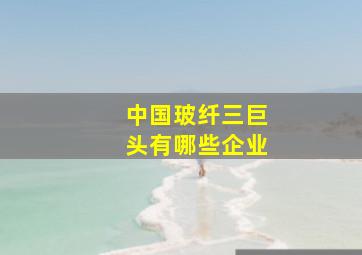 中国玻纤三巨头有哪些企业