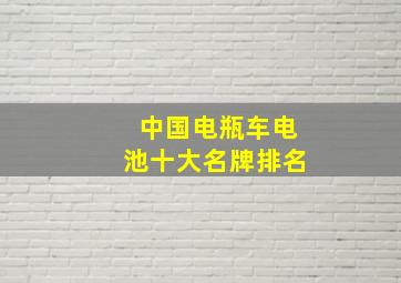 中国电瓶车电池十大名牌排名