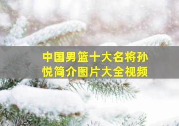 中国男篮十大名将孙悦简介图片大全视频