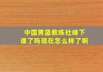 中国男篮教练杜峰下课了吗现在怎么样了啊