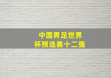 中国男足世界杯预选赛十二强