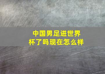 中国男足进世界杯了吗现在怎么样