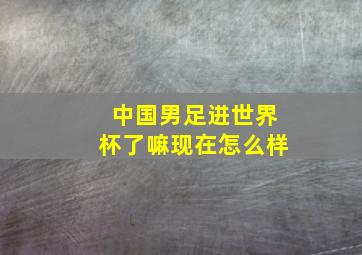 中国男足进世界杯了嘛现在怎么样