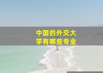 中国的外交大学有哪些专业