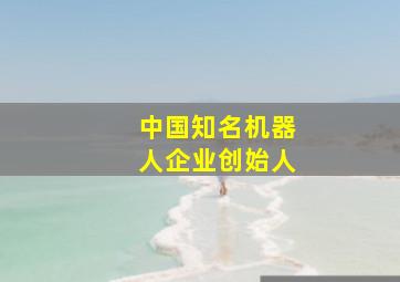 中国知名机器人企业创始人