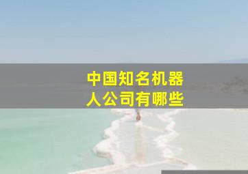 中国知名机器人公司有哪些