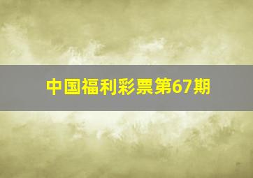 中国福利彩票第67期