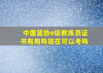 中国篮协e级教练员证书有用吗现在可以考吗