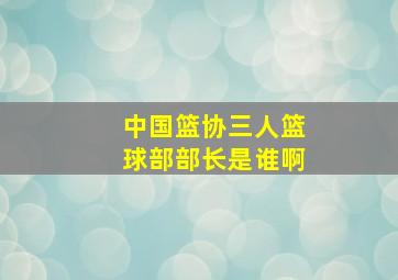 中国篮协三人篮球部部长是谁啊