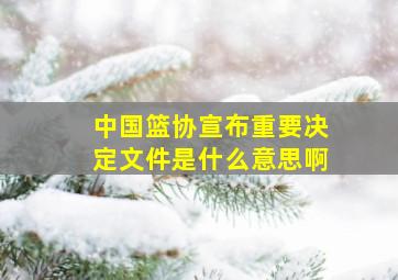 中国篮协宣布重要决定文件是什么意思啊