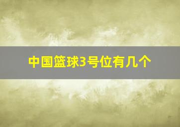 中国篮球3号位有几个