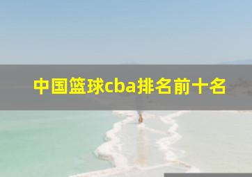 中国篮球cba排名前十名