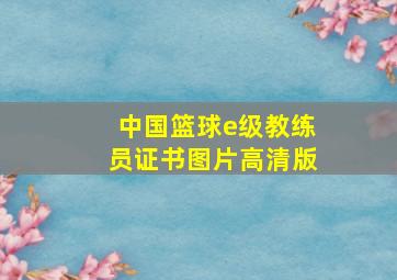 中国篮球e级教练员证书图片高清版