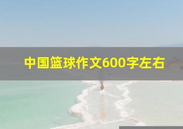 中国篮球作文600字左右