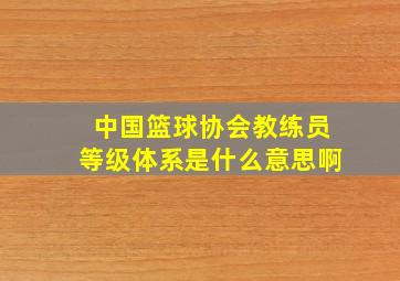 中国篮球协会教练员等级体系是什么意思啊