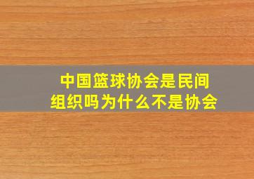 中国篮球协会是民间组织吗为什么不是协会