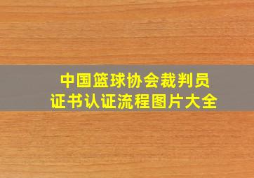 中国篮球协会裁判员证书认证流程图片大全