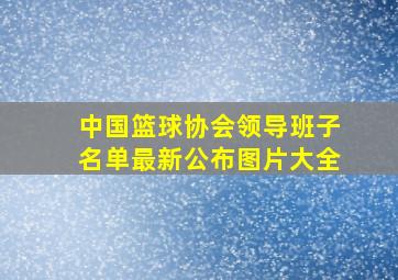 中国篮球协会领导班子名单最新公布图片大全