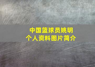 中国篮球员姚明个人资料图片简介