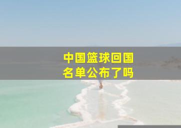 中国篮球回国名单公布了吗