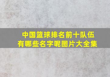 中国篮球排名前十队伍有哪些名字呢图片大全集