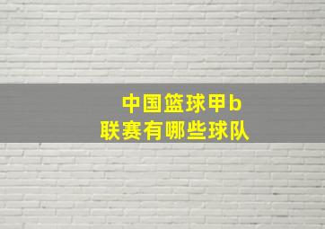 中国篮球甲b联赛有哪些球队