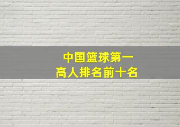 中国篮球第一高人排名前十名