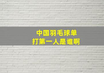 中国羽毛球单打第一人是谁啊