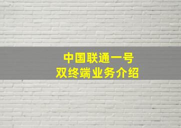 中国联通一号双终端业务介绍