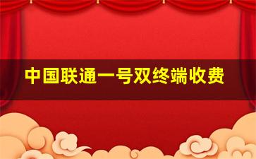 中国联通一号双终端收费