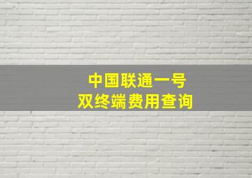 中国联通一号双终端费用查询