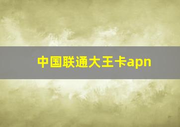 中国联通大王卡apn