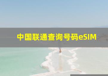 中国联通查询号码eSIM