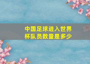 中国足球进入世界杯队员数量是多少