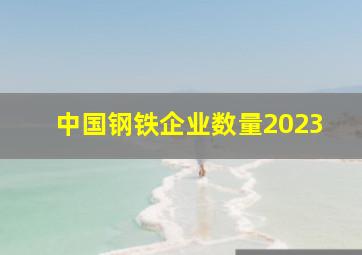 中国钢铁企业数量2023