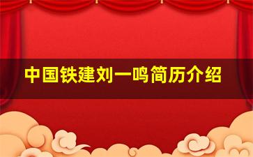 中国铁建刘一鸣简历介绍