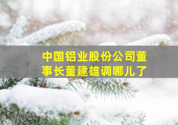 中国铝业股份公司董事长董建雄调哪儿了