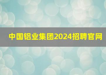 中国铝业集团2024招聘官网