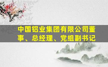 中国铝业集团有限公司董事、总经理、党组副书记