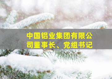 中国铝业集团有限公司董事长、党组书记