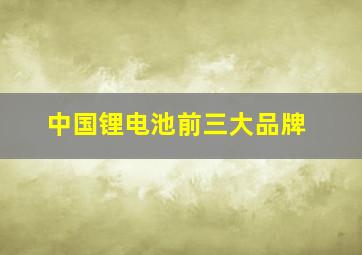 中国锂电池前三大品牌