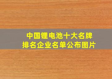 中国锂电池十大名牌排名企业名单公布图片