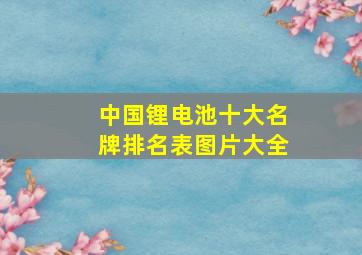 中国锂电池十大名牌排名表图片大全