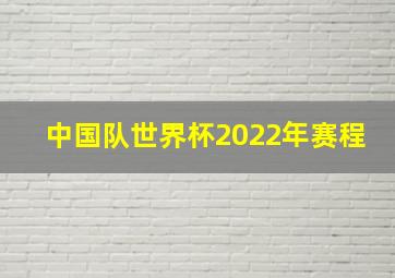 中国队世界杯2022年赛程