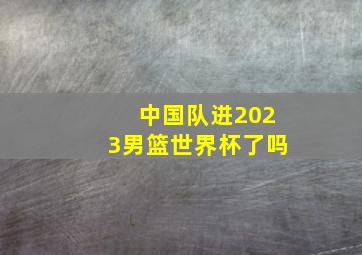 中国队进2023男篮世界杯了吗