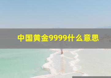 中国黄金9999什么意思