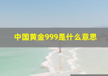 中国黄金999是什么意思