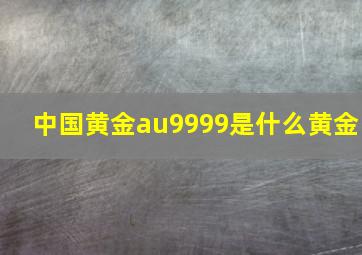 中国黄金au9999是什么黄金